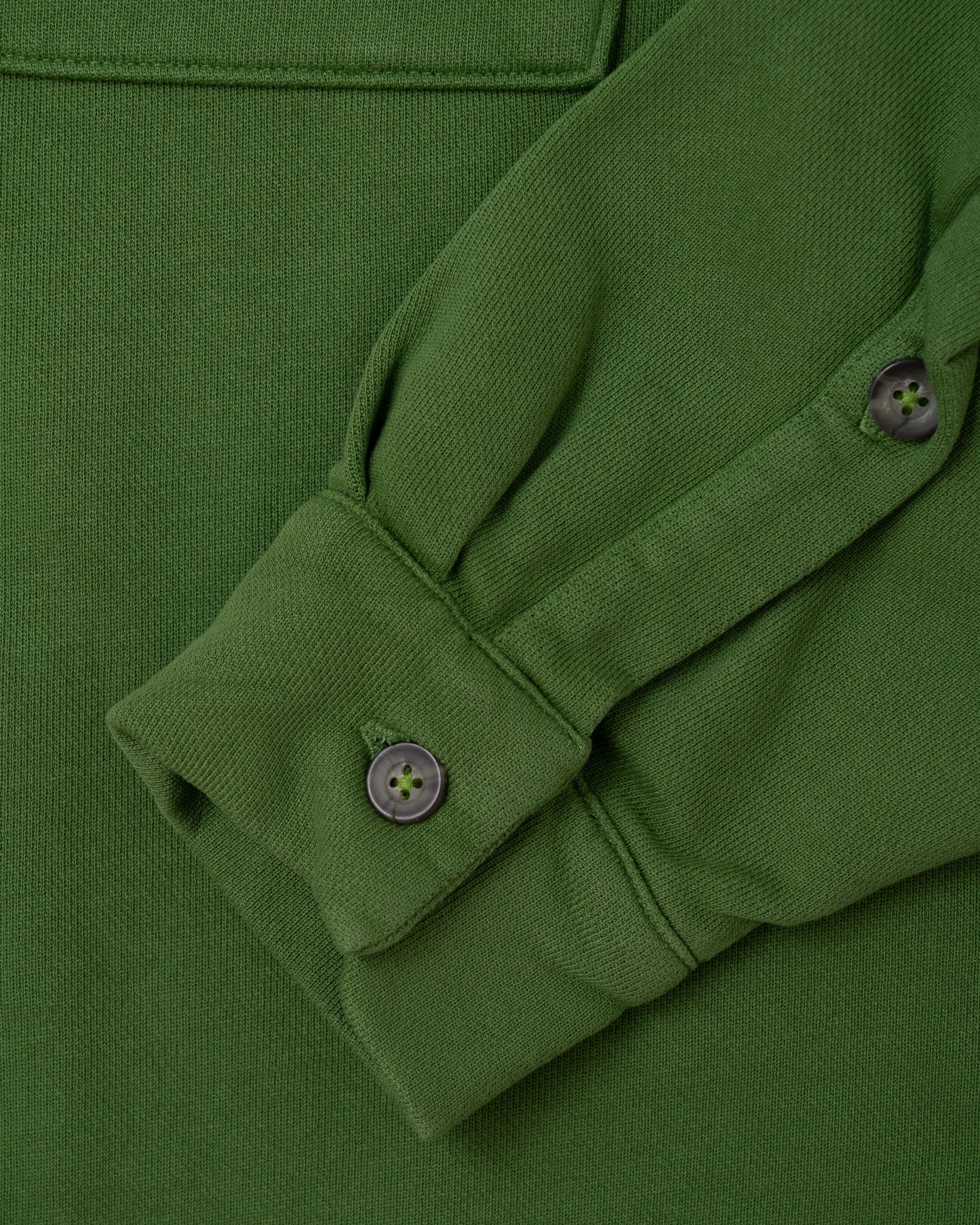 Cruise L/S - Banana Palm