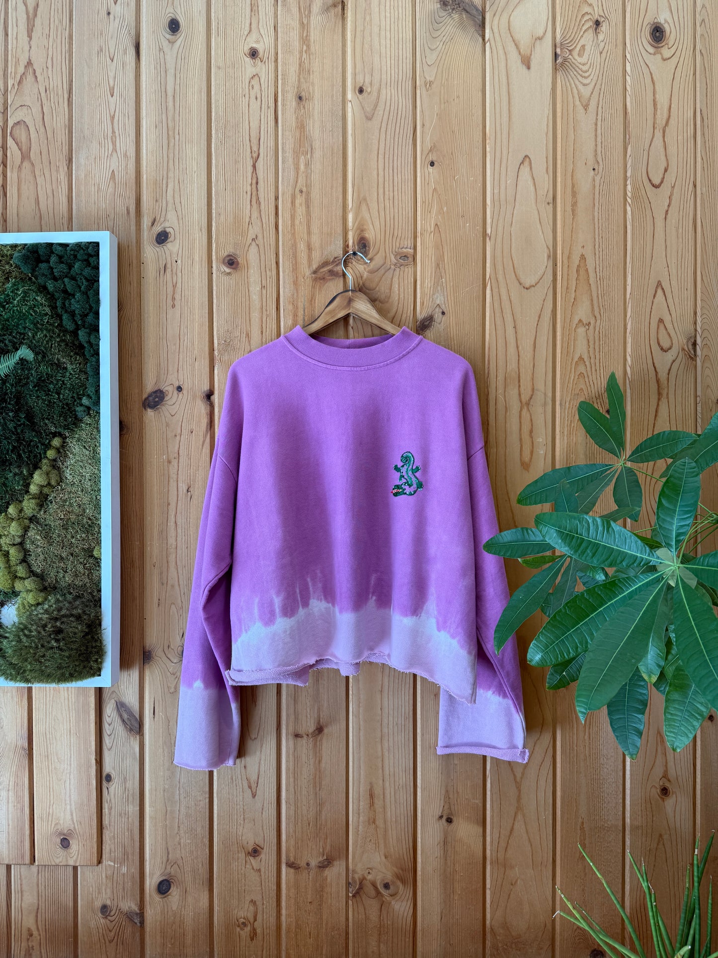 Journey Cropped Crewneck - Deco Gator