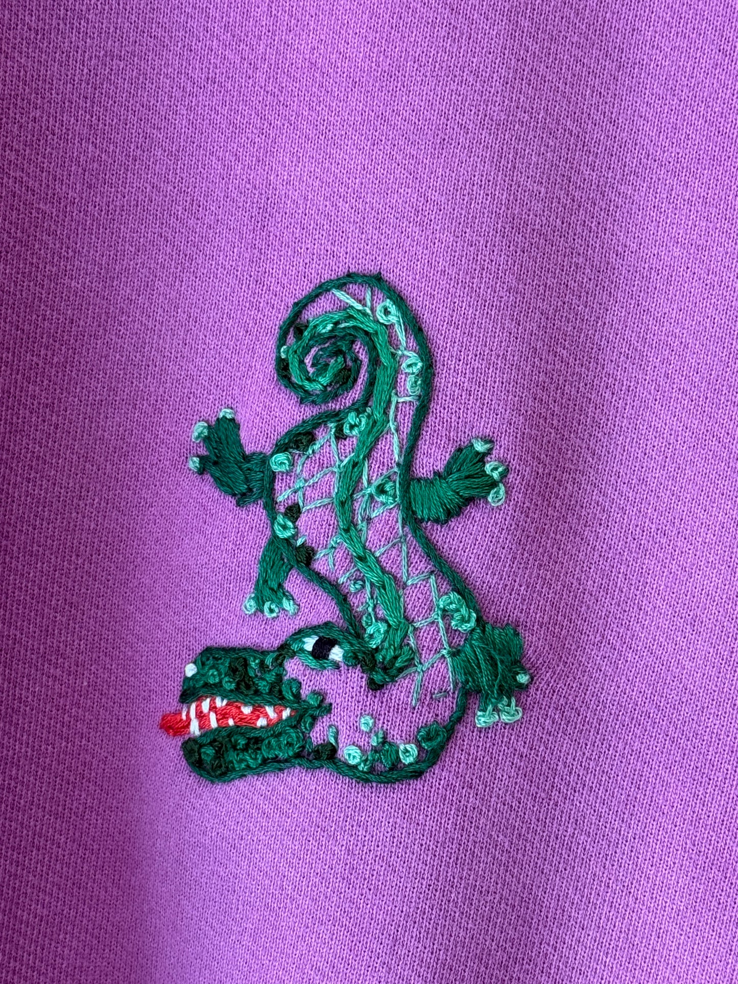 Journey Cropped Crewneck - Deco Gator