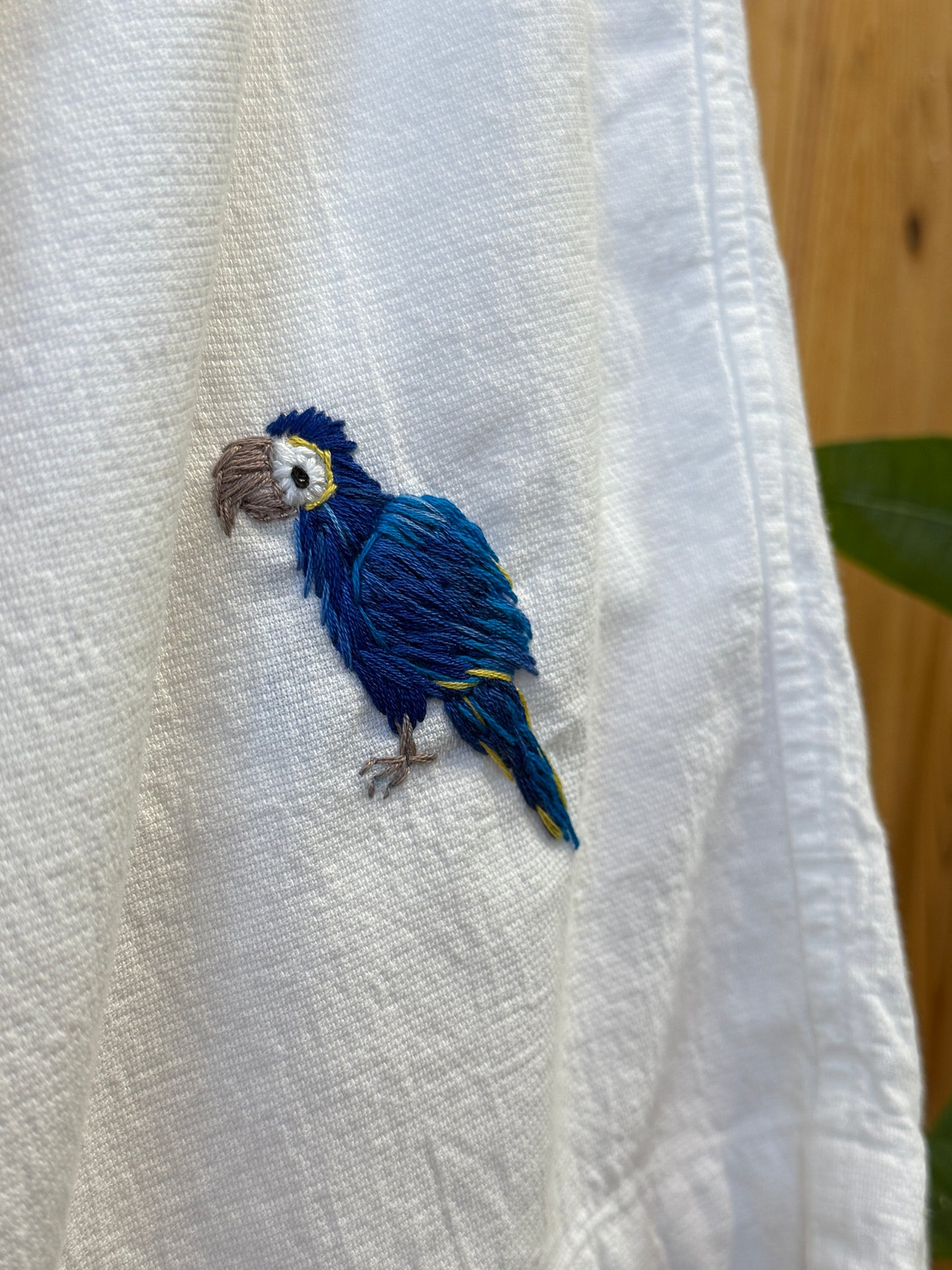 Crinkle Short - Hyacinth Macaw