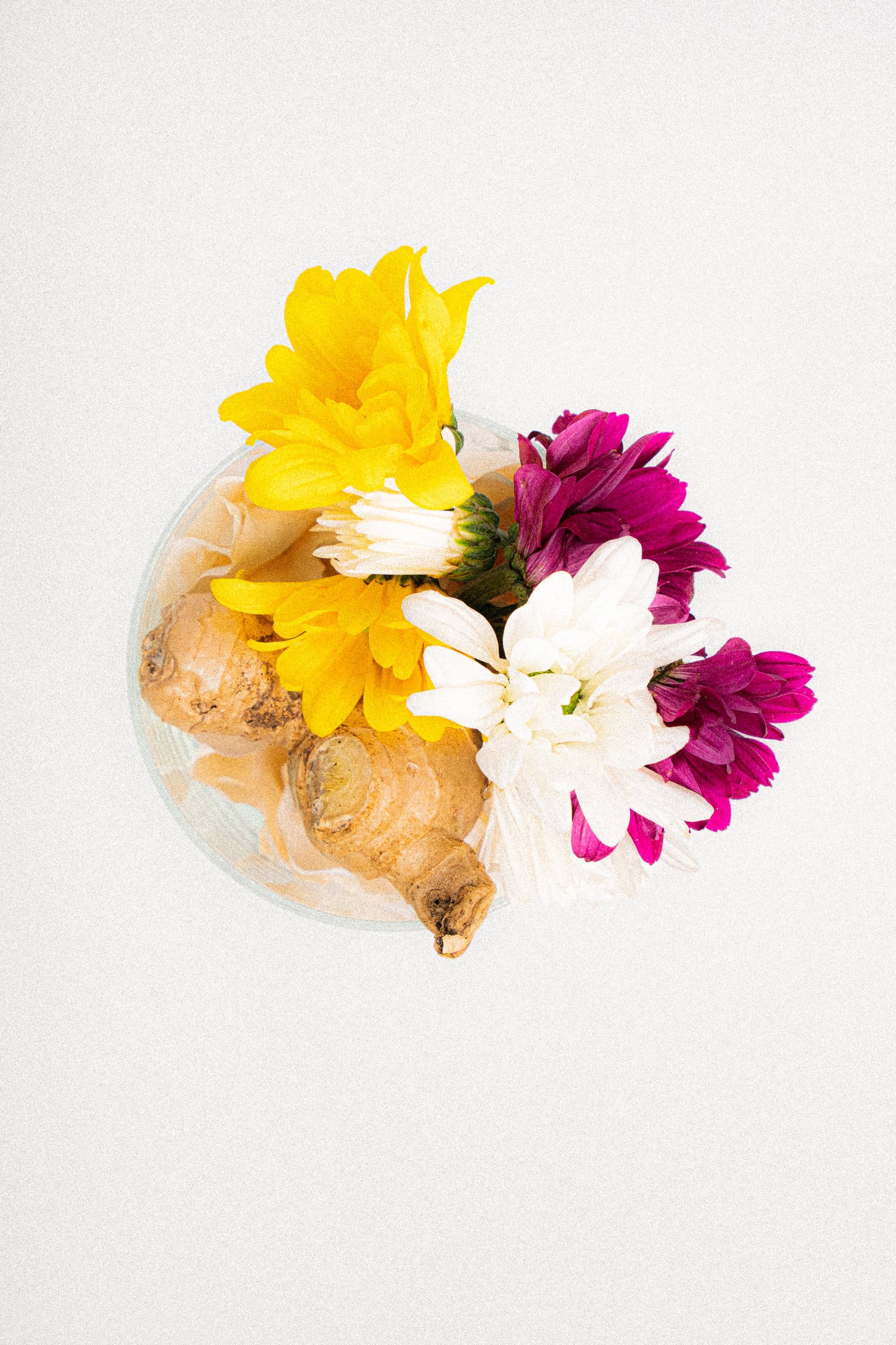 OFY Candle - Mystic Bloom
