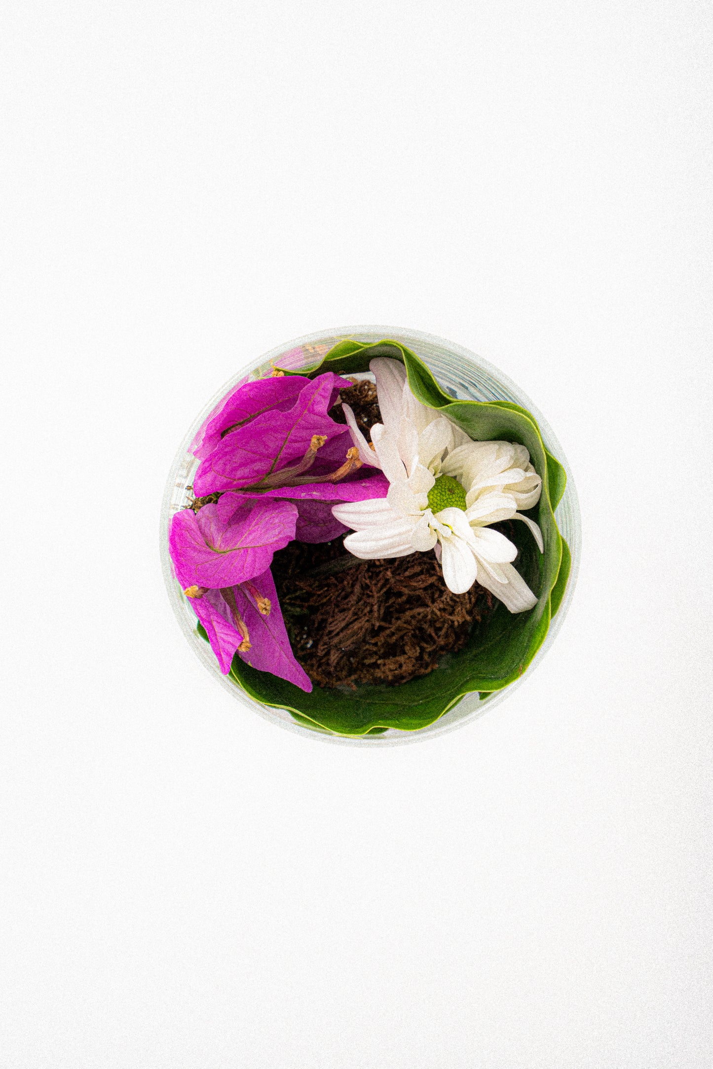 OFY Candle - SIGNATURE