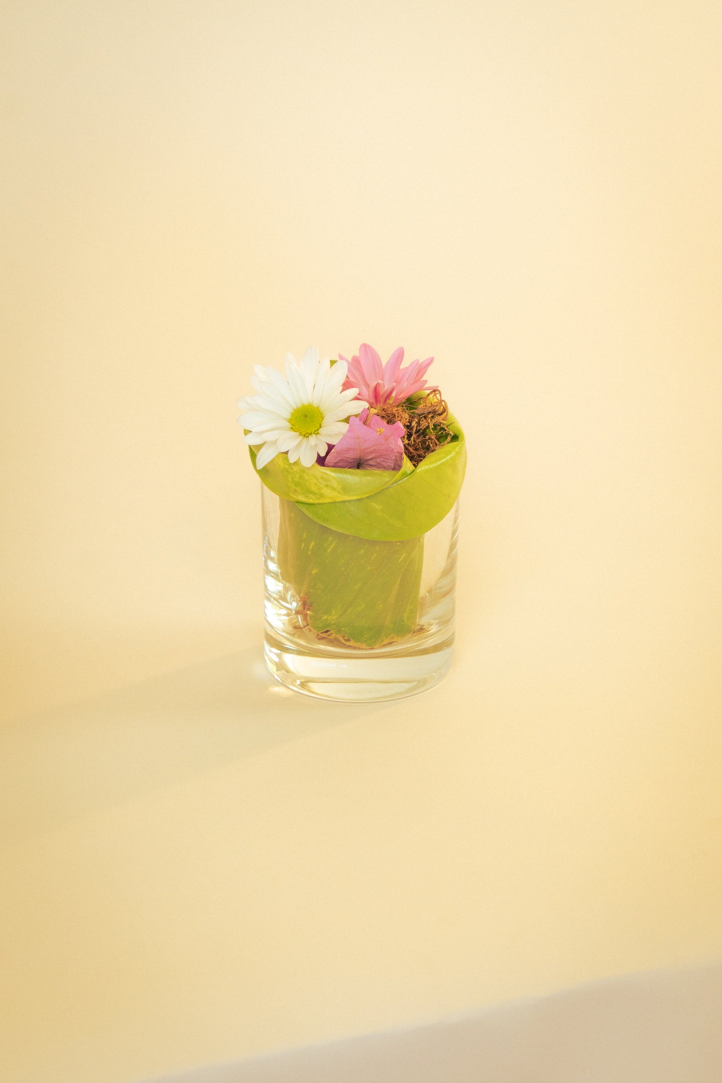 OFY Candle - SIGNATURE