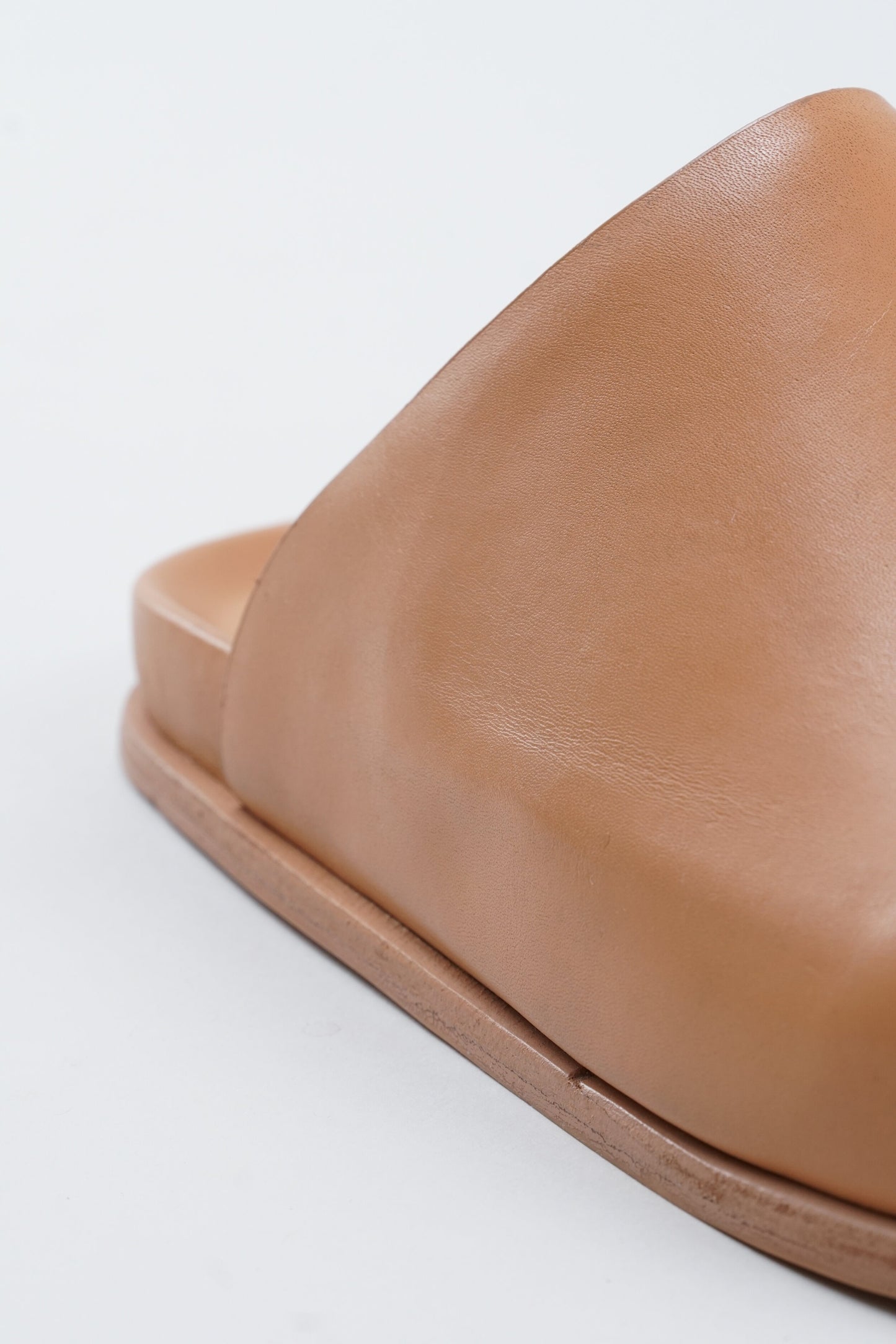 Standard Mule - Camel