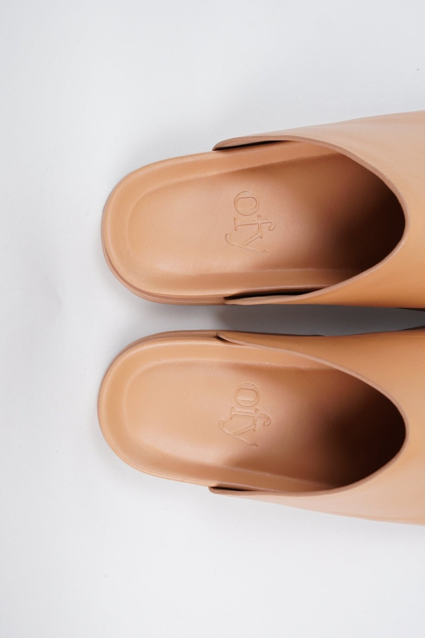 Standard Mule - Camel