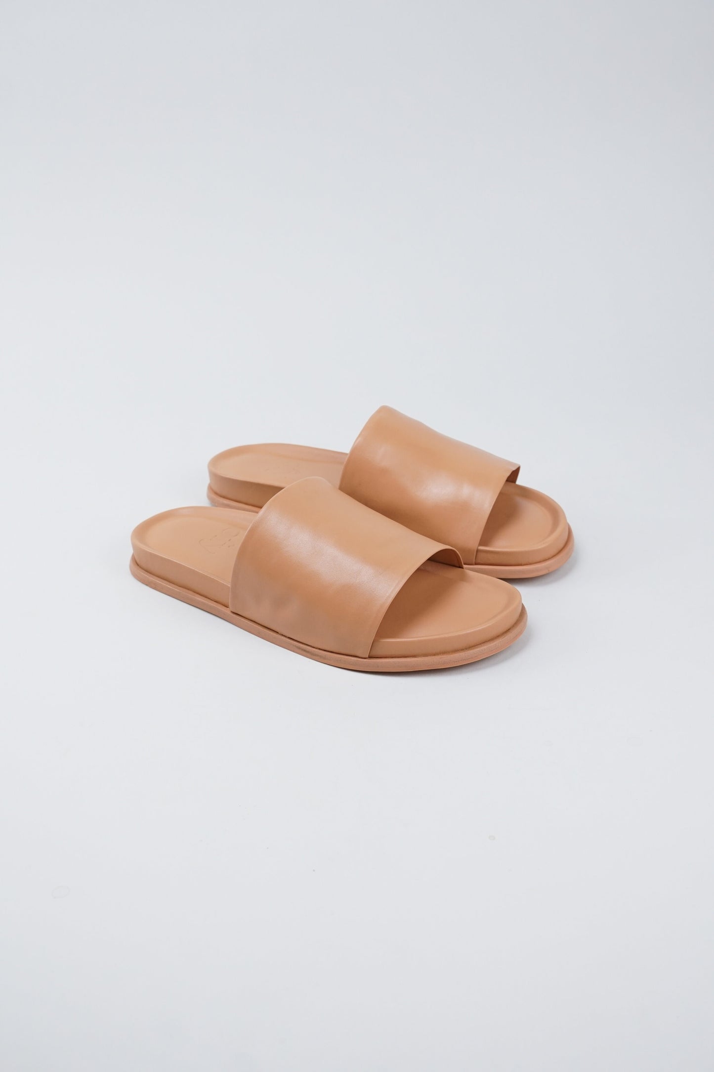 Standard Slide - Camel
