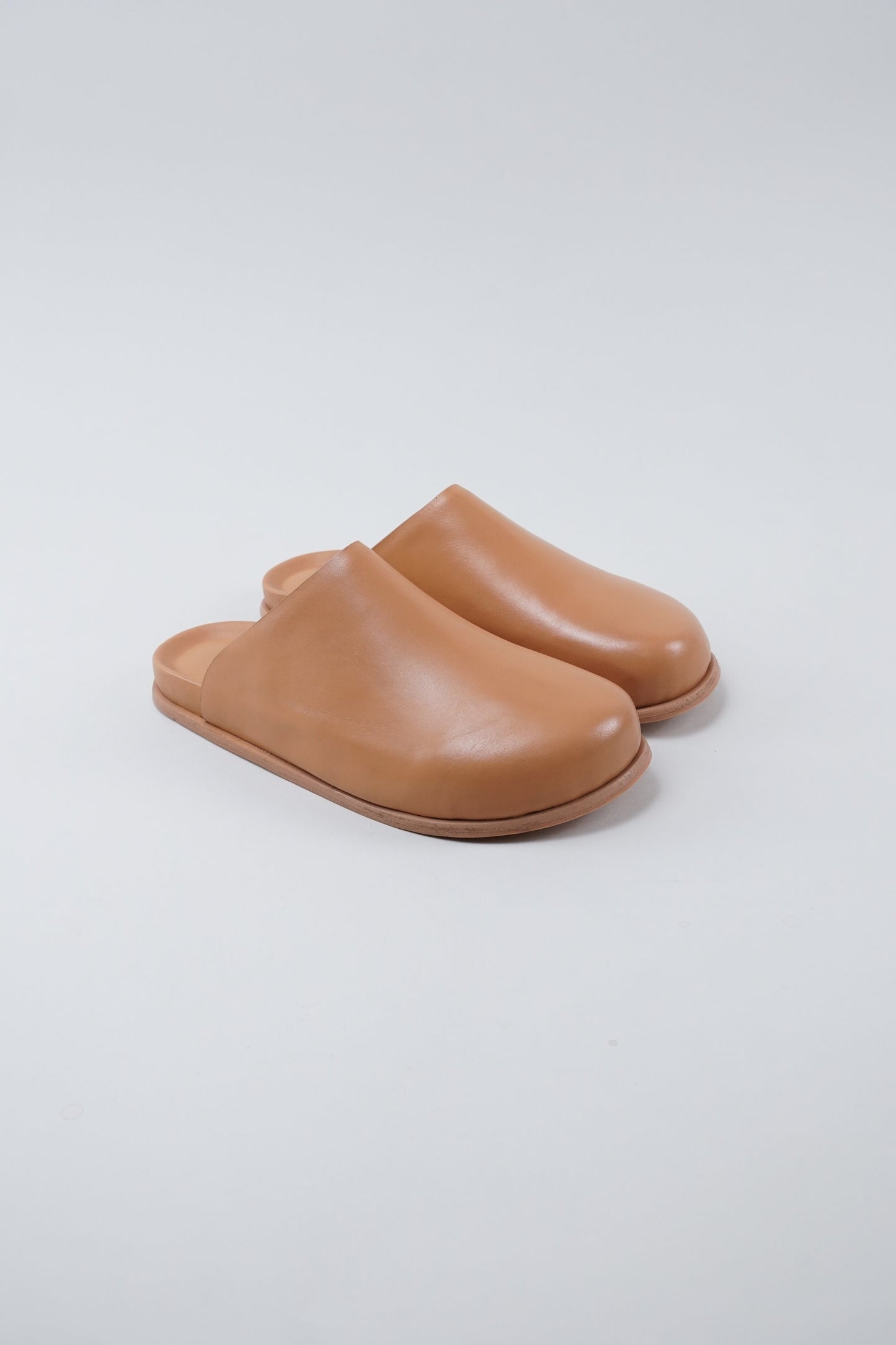 Standard Mule - Camel