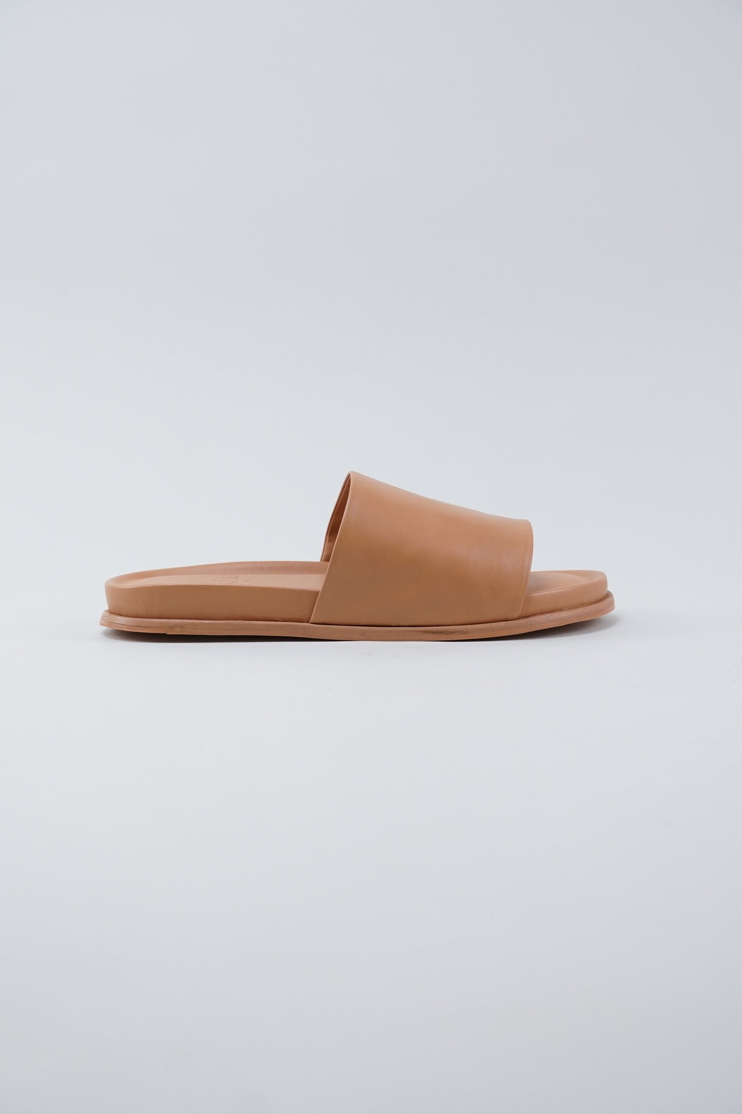 Standard Slide - Camel