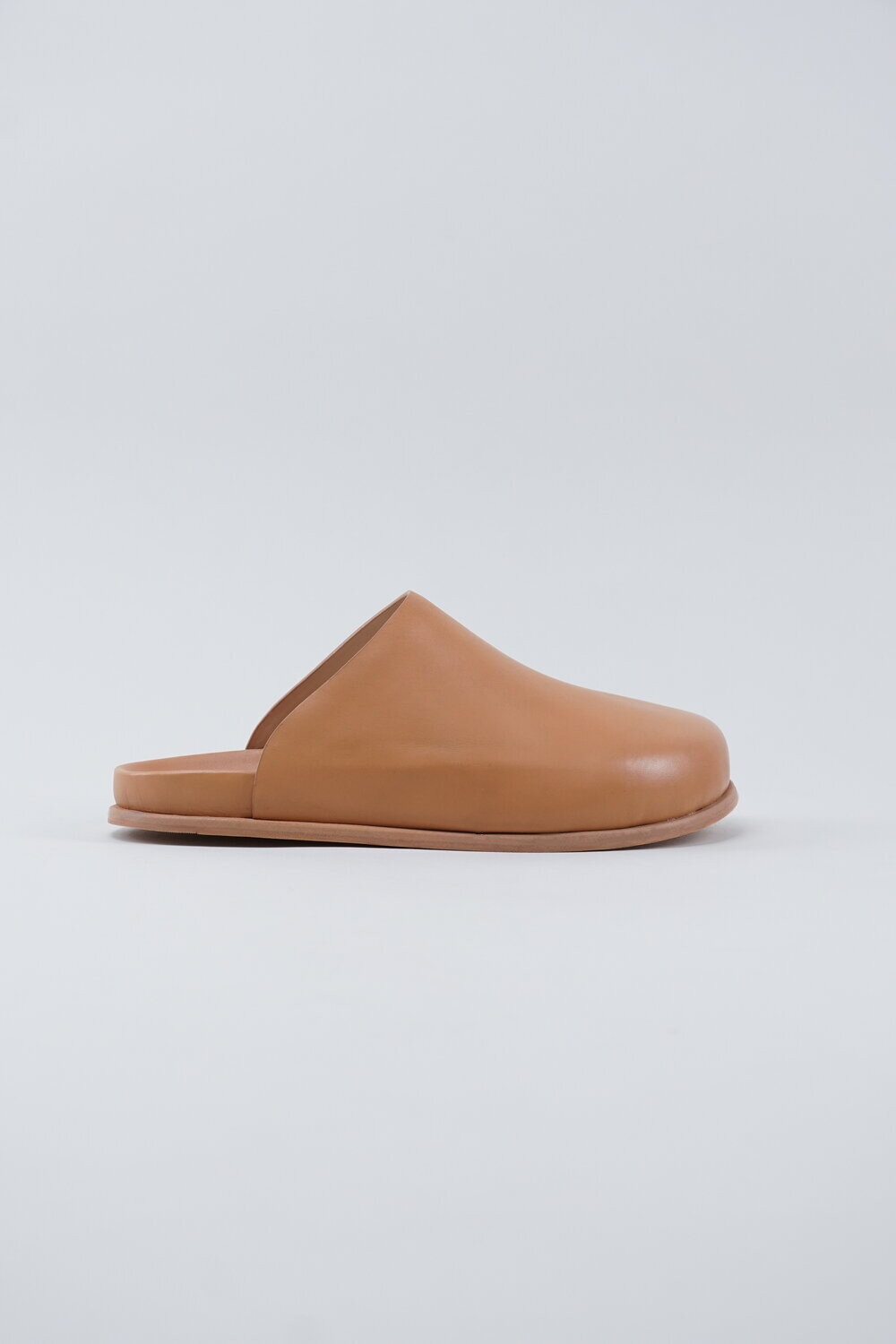 Standard Mule - Camel