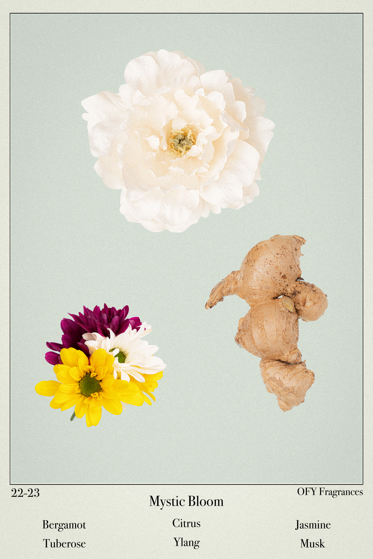 OFY Candle - Mystic Bloom
