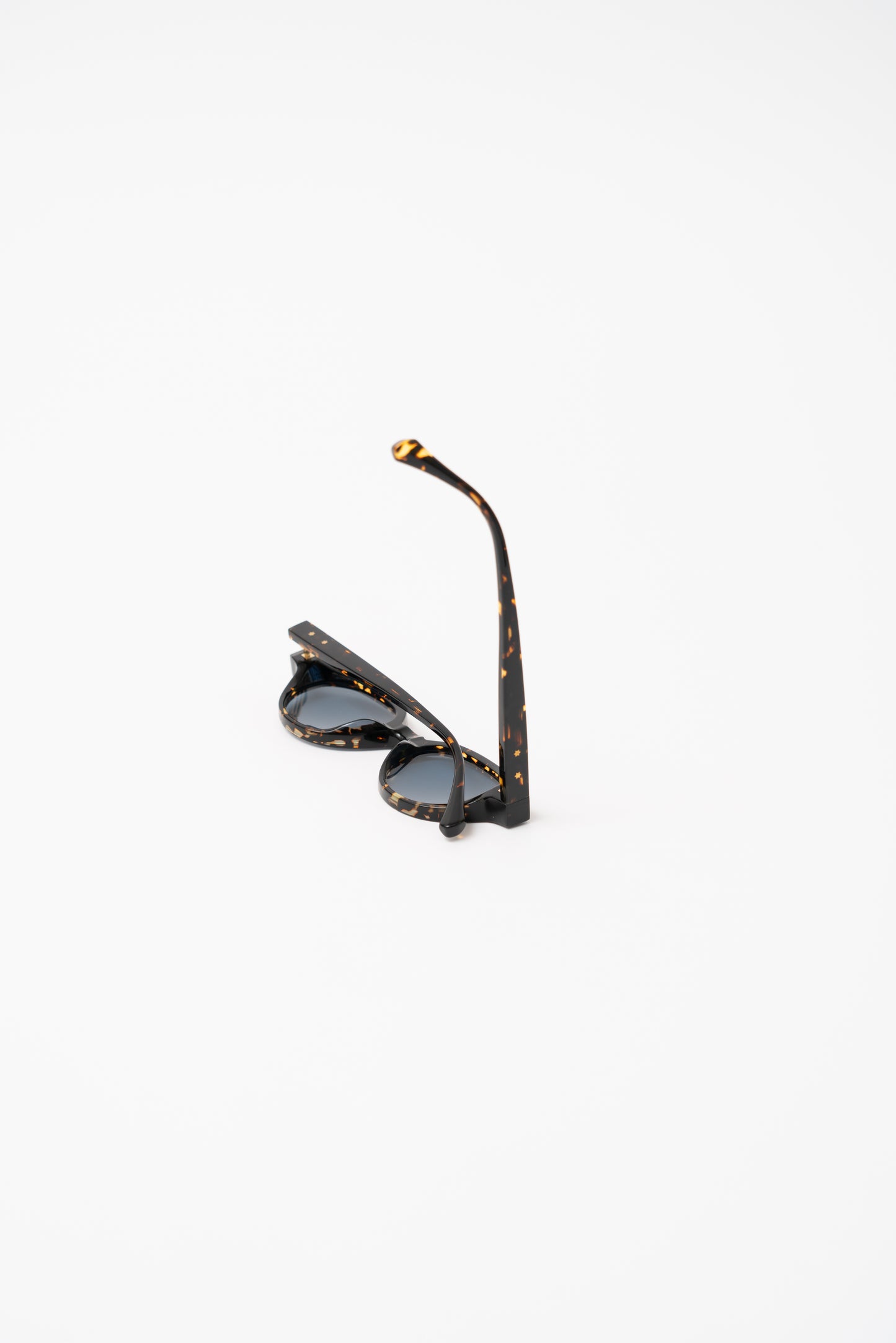 UNIQUEDESIGNMILANO - Libera Tortoise