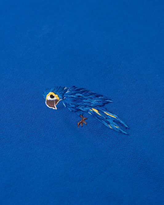 Cruise Crew - Hyacinth Macaw