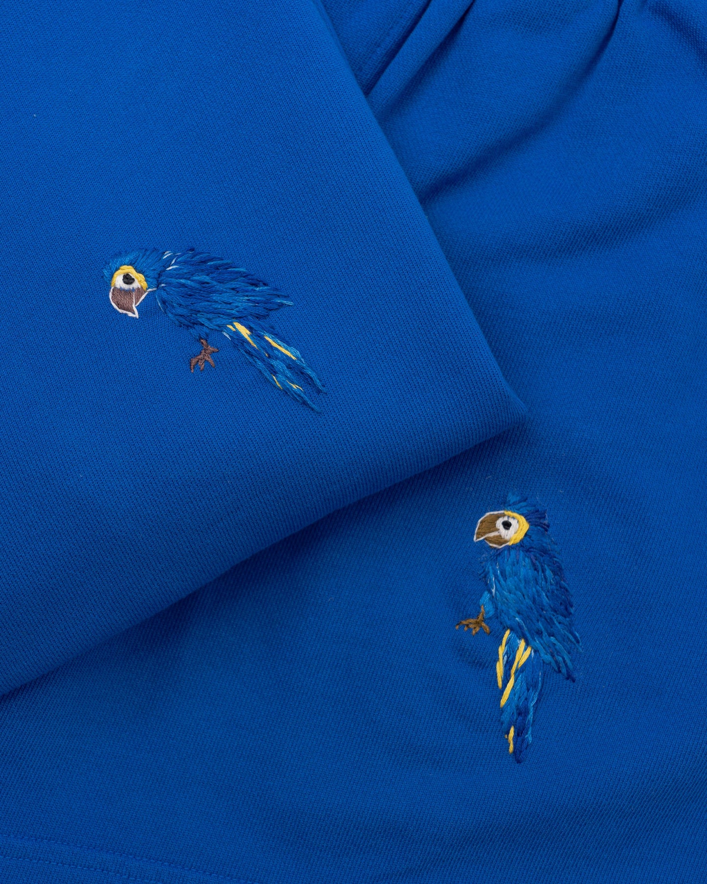 Cruise L/S - Hyacinth Macaw