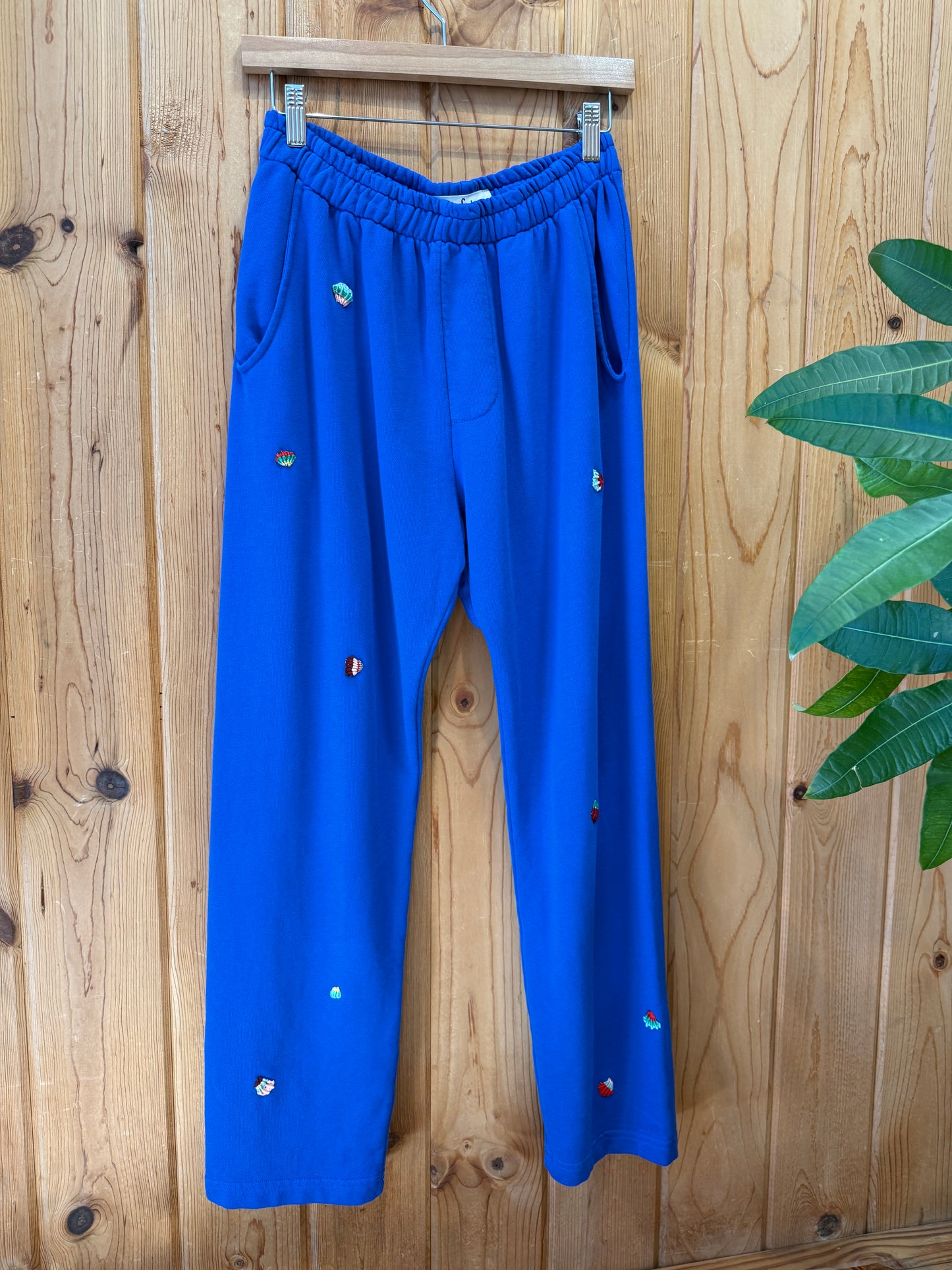 Cruise Pant -Bluing Shell