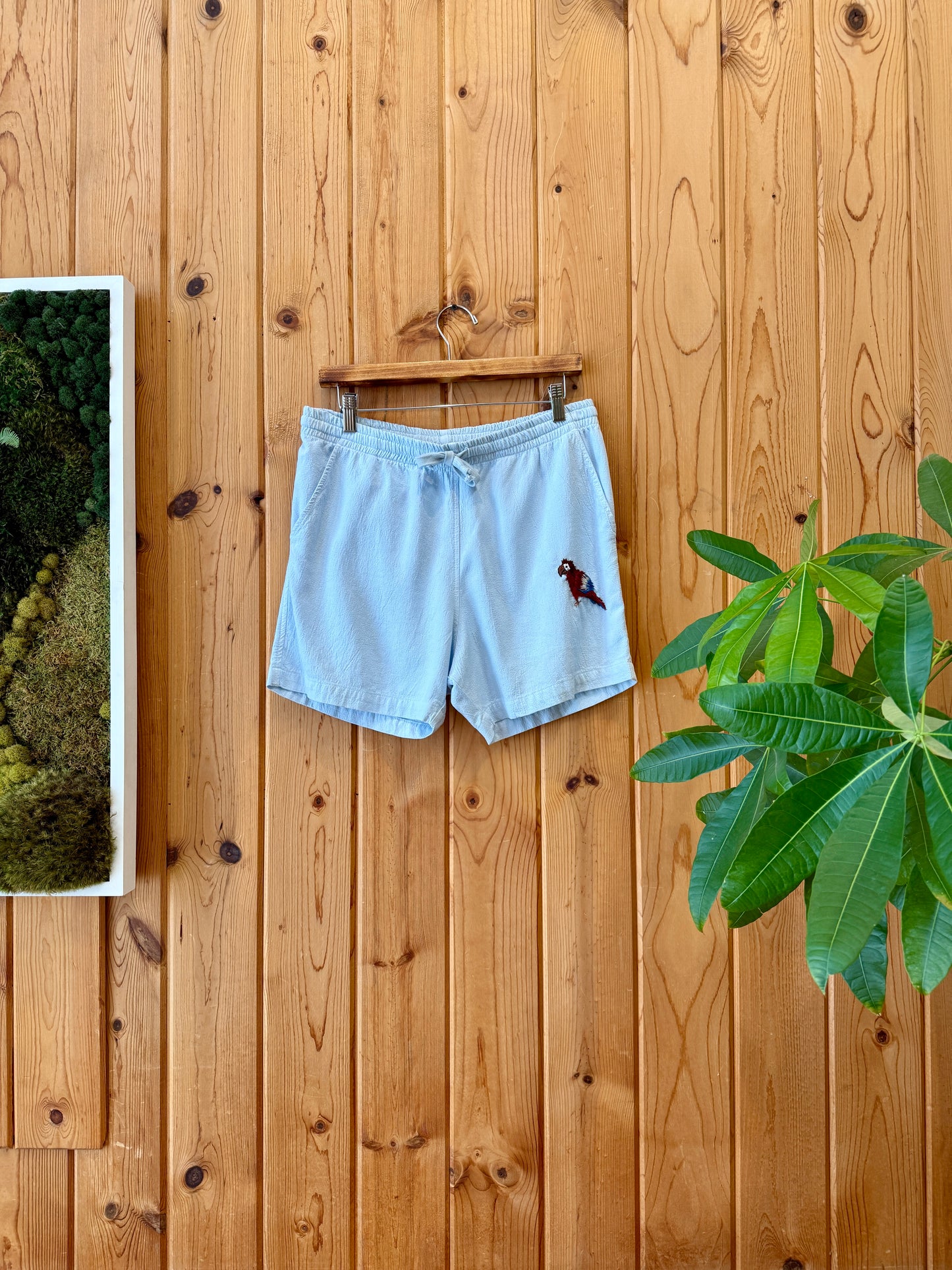 Crinkle Short - AmeriCAWna