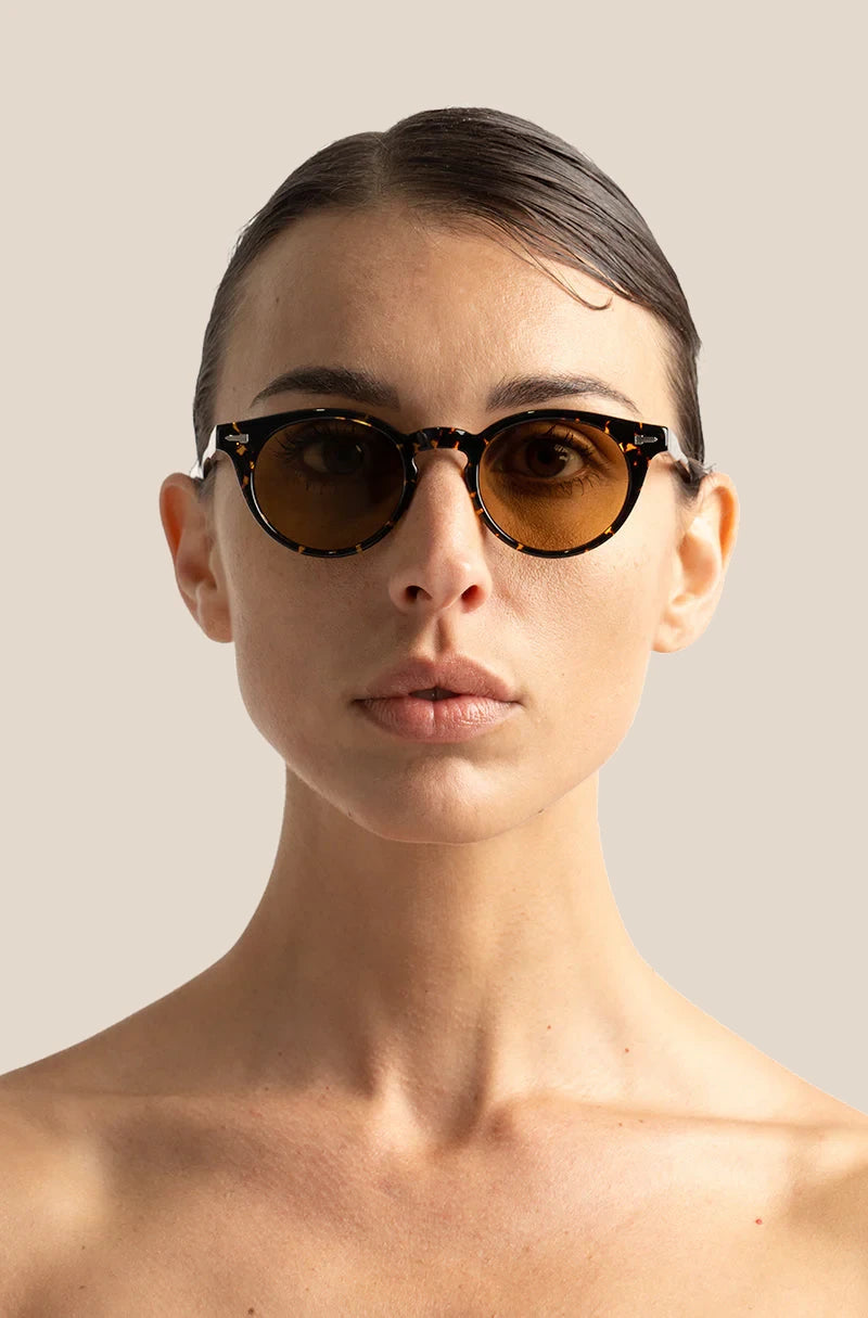 Crazy Horse Chelonian