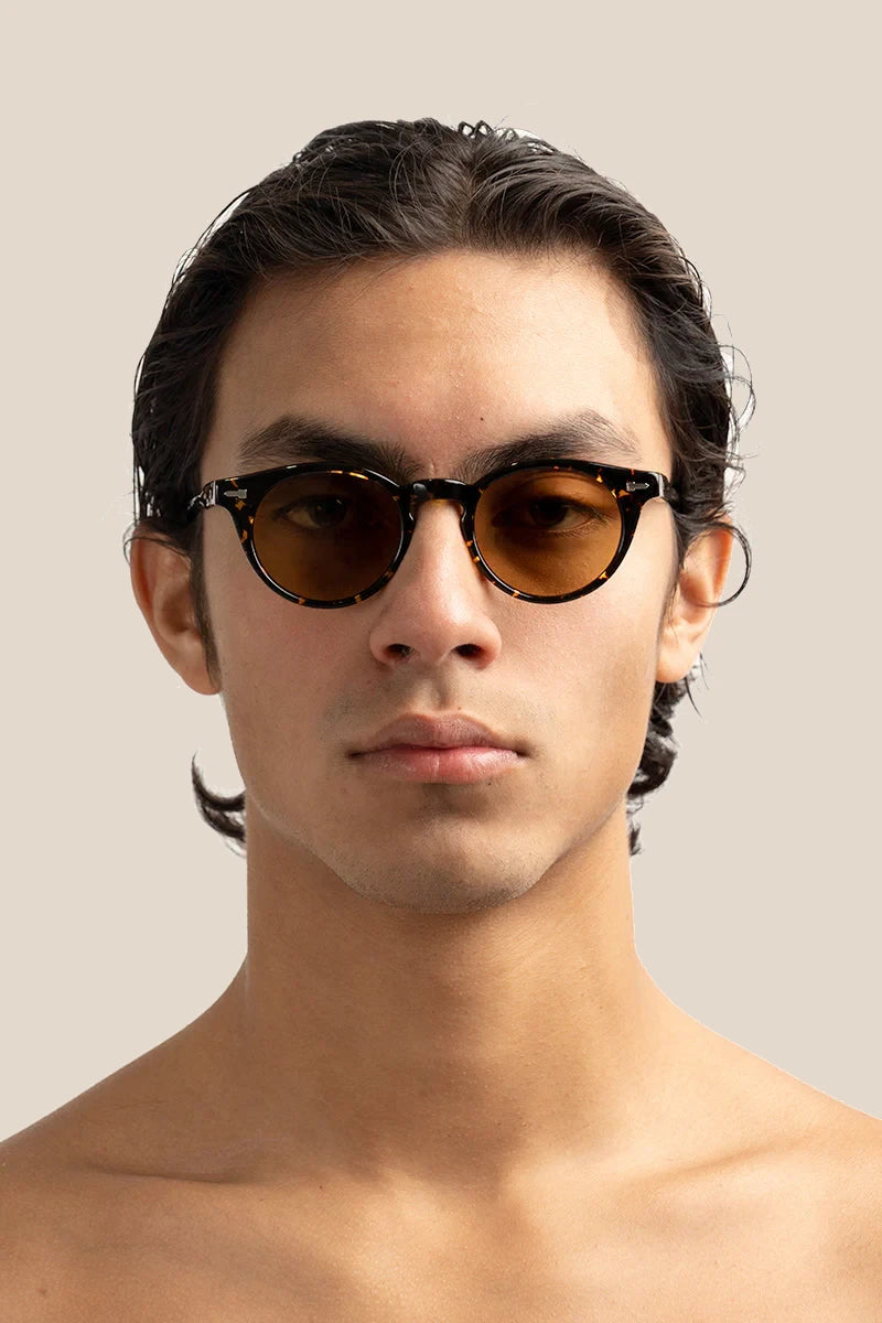 Crazy Horse Chelonian