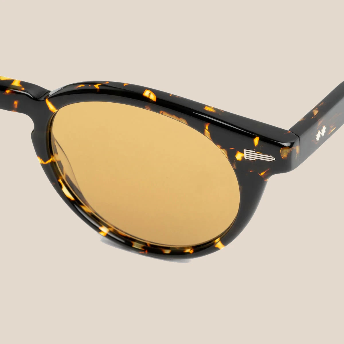 Crazy Horse Chelonian