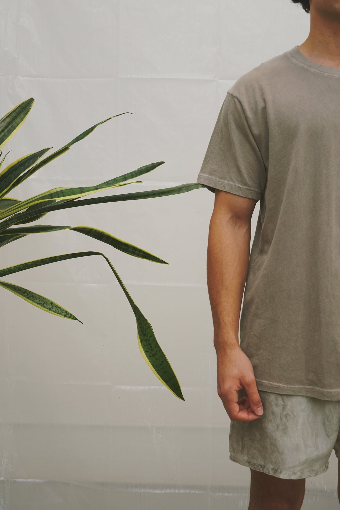 Essential Tee - Fossil